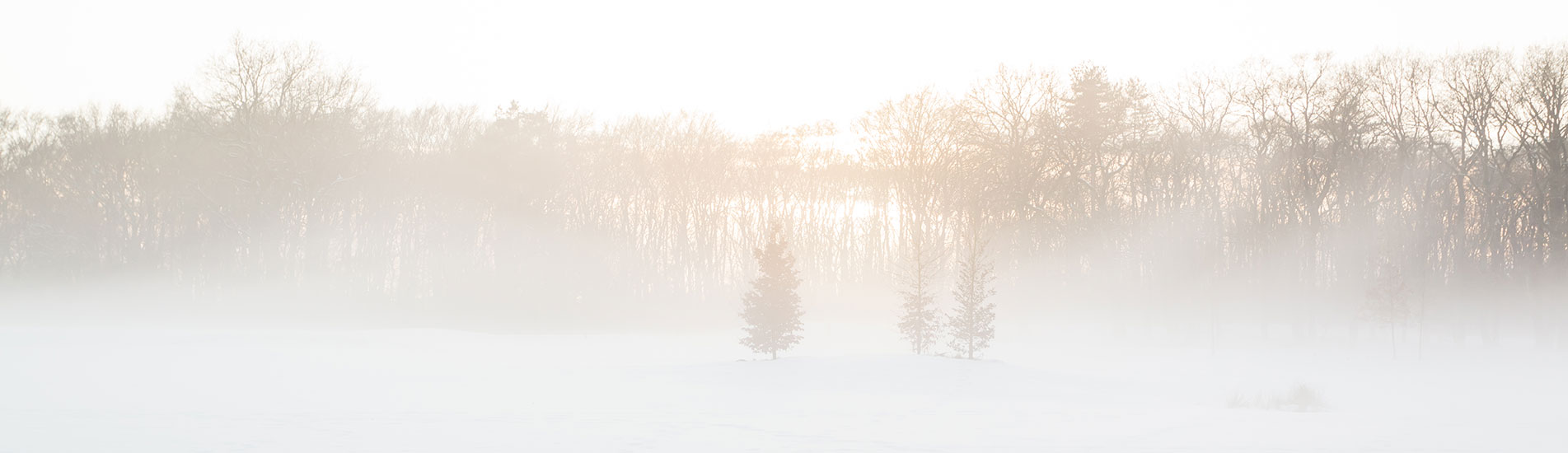 Winter foto de Veluwe